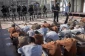 Research paper documents rising torture and starvation of Palestinian prisoners in July