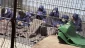 Zionist regime intensifies torture, slow killing of Palestinian inmates by banning family visits: Rights group
