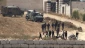 Hamas: Israeli plan to transfer West Bank law enforcement to police could advance annexation, Judaization