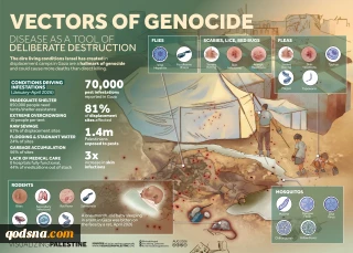 Vectors of Genocide: Disease as a Tool of Deliberate Destruction