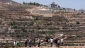 18 days under siege: Three Palestinian families trapped in Qusra by settlers and Israeli forces