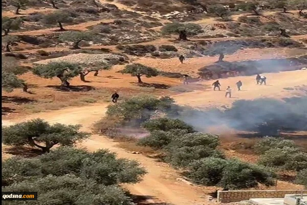 وزیر خارجه فرانسه: خشونت شهرک نشینان اسرائیلی شرم آور است 2