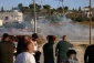 2026 Deadliest year for settler attacks in West Bank & Al-Quds