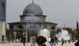 Around 1,236 settlers defiled Aqsa Mosque last week