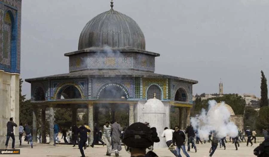 Around 1,236 settlers defiled Aqsa Mosque last week