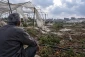 Gaza’s farming sector nears collapse as war leaves only 4% of farmland accessible