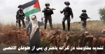 مرکز آماری پژوهشی معطی منتشر کرد؛

آمار عملیات‌های مقاومتی در کرانه باختری پس از عملیات طوفان الاقصی/ تشدید مقاومت علیه اشغالگران+ نمودار 2