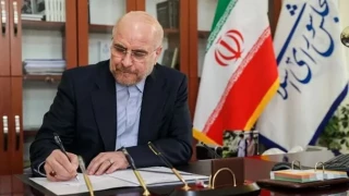 قالیباف: روباه، کاندیدای نگهبانی از مرغ‌ها می‌شود!
