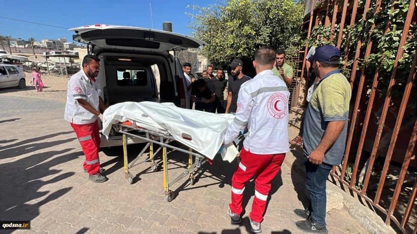 Girl among seven martyred in Zionist regime's attacks in Gaza