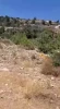 شهرک‌نشینان اشغالگر صهیونیست به باغات فلسطینیان در منطقه کوه ریسان در نزدیکی روستای کفر نعمه در غرب رام الله یورش برده و خسارت زیادی به آن‌ها وارد کردند.