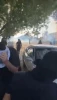 راهپیمایی بحرینی‌ها در محکومیت ترور سید حسن نصرالله 4