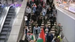 تظاهرات مردم هلند در دفاع از فلسطین و غزه 3
