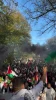 تظاهرات در شهر اوترخت هلند در حمایت از مردم غزه